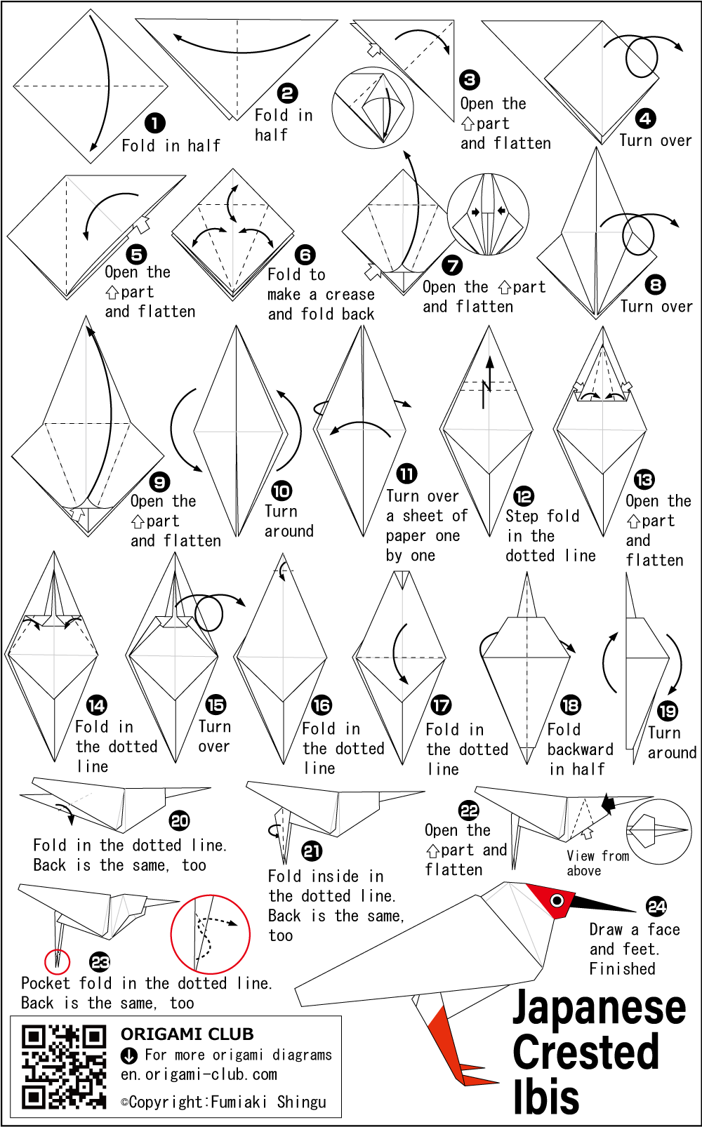 Diagram Japanese Crested Ibis